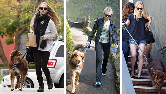 Amanda Seyfried and her Dog